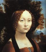  Leonardo  Da Vinci Portrait of Ginerva de'Benci oil on canvas